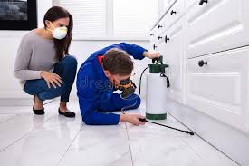 Best Pest Control for Multi-Family Homes  in USA